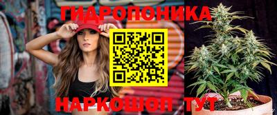 амф Анжеро-Судженск