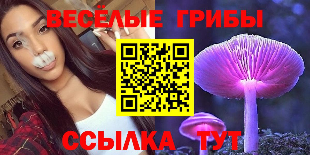 Псилоцибиновые грибы мицелий  Псилоцибиновые грибы MAGIC MUSHROOMS  Вход с VPN  Губкинский 