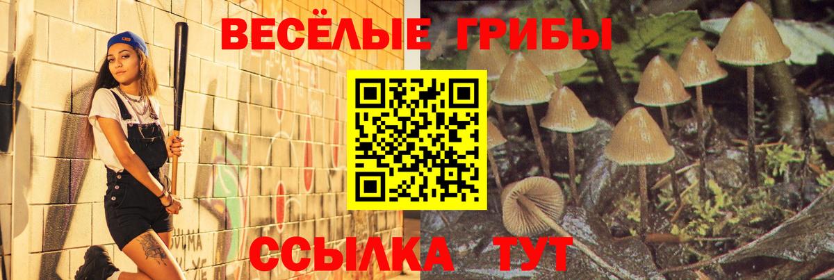 Псилоцибиновые грибы Magic Shrooms Губкинский
